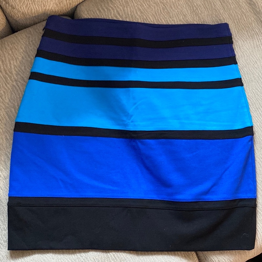 EXPRESS Skirt - Picture 5 of 5